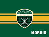 Skiing Blanket (Shield)